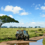 safari-de-luxe-en-tanzanie-_-une-experience-unique-entre-faune-sauvage-et-plages-paradisiaques