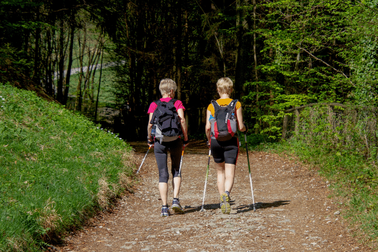 Randonnée en montagne au Pays basque 4 itinéraires à découvrir