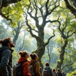 découvrez les faux de verzy lors d'une randonnée commentée inoubliable au cœur de la montagne de reims, entre reims et épernay. plongez dans la beauté naturelle et l'histoire fascinante de cette région unique.